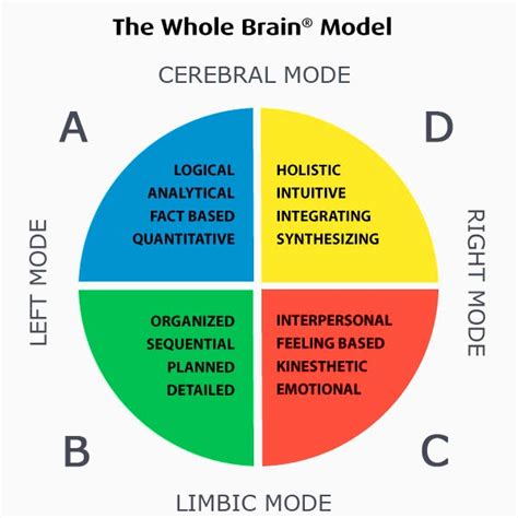 whole brain assessing comprehension smart cards|HBDI (Herrmann Brain Dominance Instrument)® Assessment.